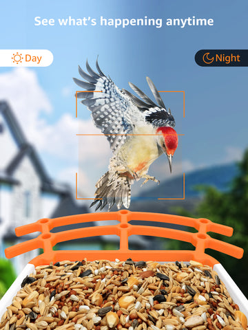 Wireless Bird Feeder with Camera, 1080p Outdoor Watching Camera, Solar Powered, AI Identify Bird Species, Auto Record Bird Video, Instant Notifications