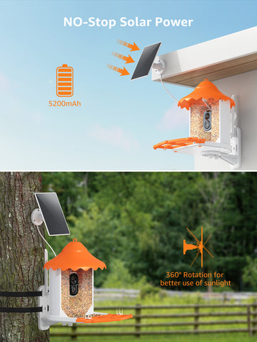 Wireless Bird Feeder with Camera, 1080p Outdoor Watching Camera, Solar Powered, AI Identify Bird Species, Auto Record Bird Video, Instant Notifications