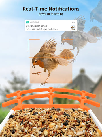 Wireless Bird Feeder with Camera, 1080p Outdoor Watching Camera, Solar Powered, AI Identify Bird Species, Auto Record Bird Video, Instant Notifications