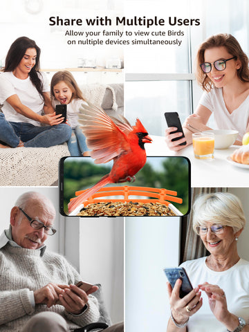 Wireless Bird Feeder with Camera, 1080p Outdoor Watching Camera, Solar Powered, AI Identify Bird Species, Auto Record Bird Video, Instant Notifications