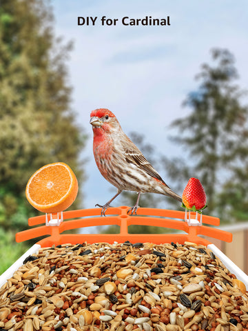 Wireless Bird Feeder with Camera, 1080p Outdoor Watching Camera, Solar Powered, AI Identify Bird Species, Auto Record Bird Video, Instant Notifications