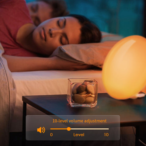 Smart Sunrise Alarm Clock, Sun Simulation Wake up Light,16 Natural Sounds & 9 Lighting Effects, White Noise, for Kids, Heavy Sleepers, Bedroom, Work with Alexa & Google Home, Ideal for Gift